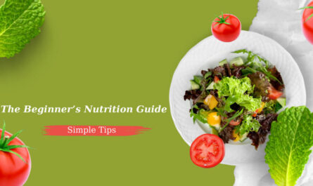 beginner nutrition guide
